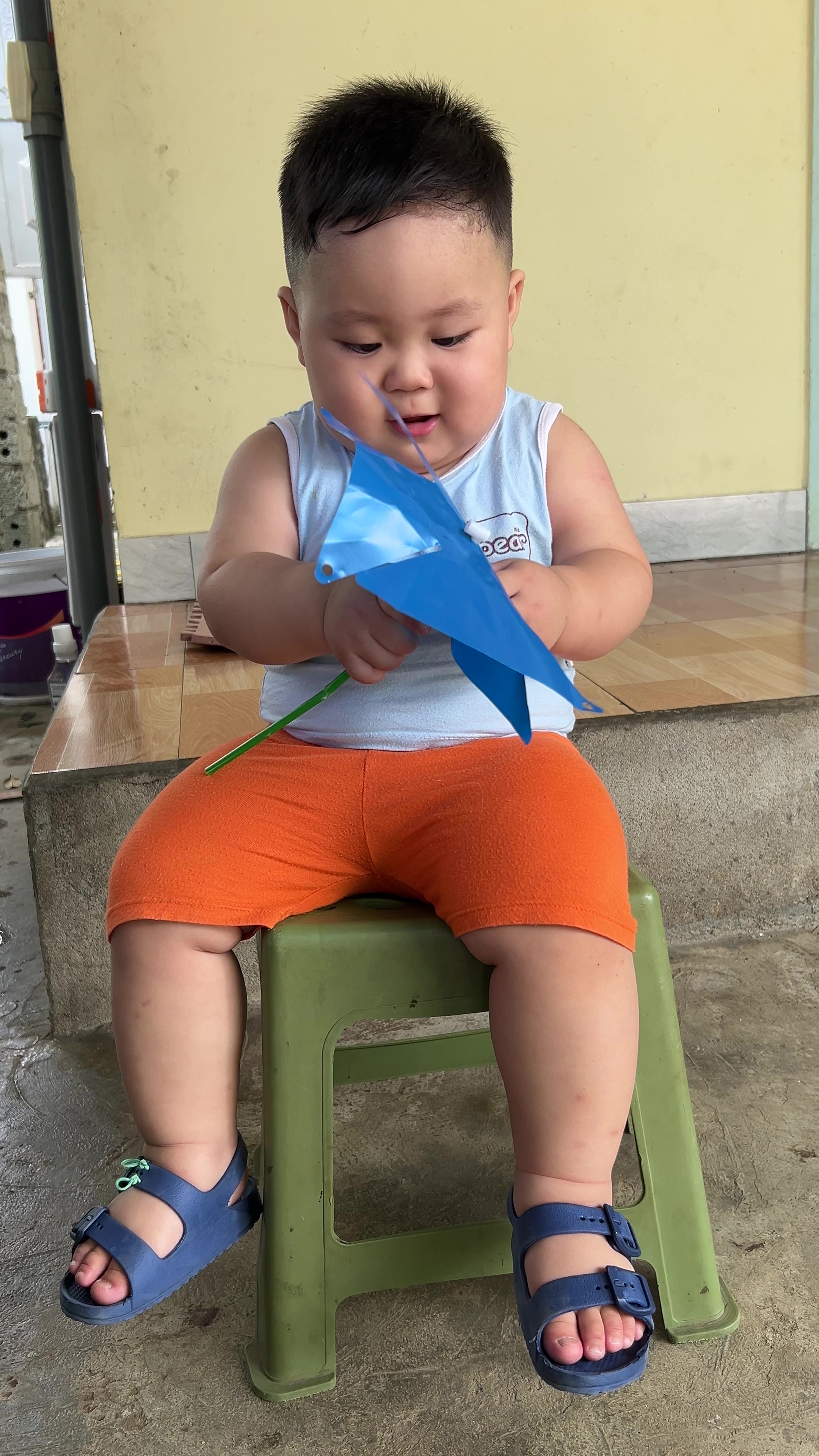 @Sứa biển🪼