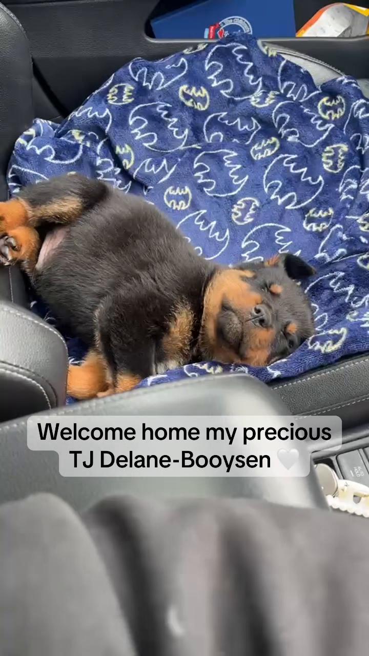 @Dr Simone Booysen-Delane