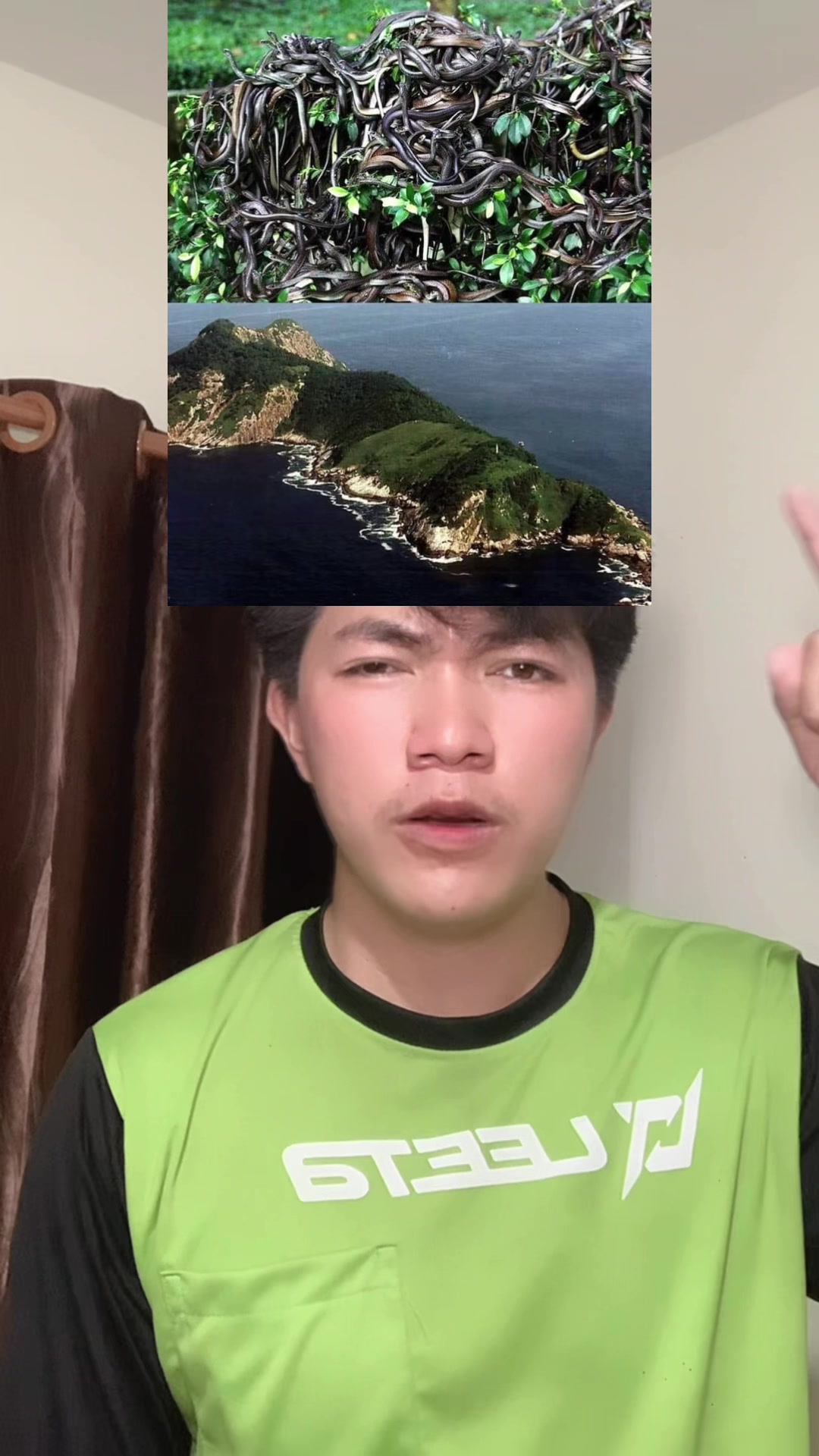 @swang1231