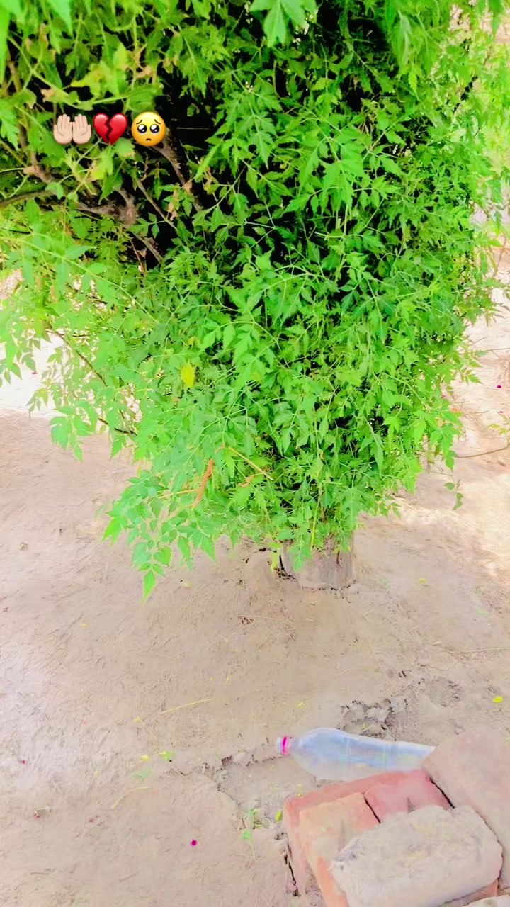 @❣️مسکان ❣️