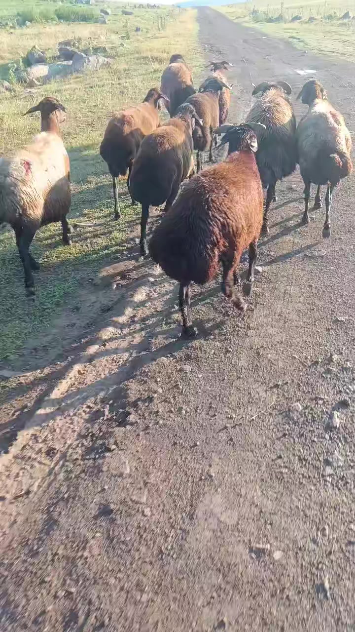 @eyyüp. beki. 🥀🥀🥀🥀