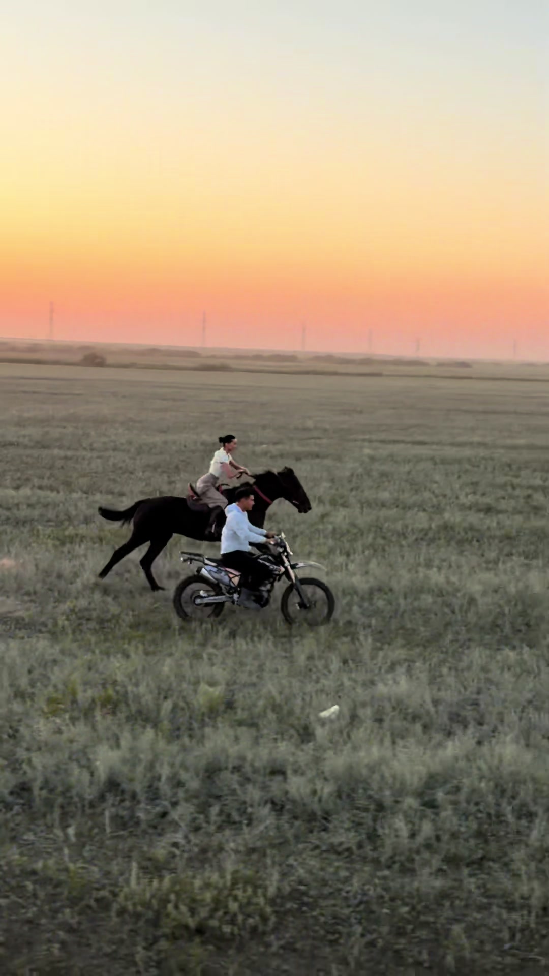 @NAZEKA🐎