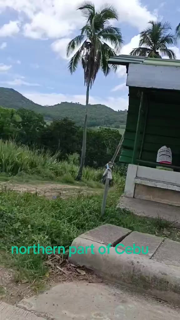 @Zenaida Moreno