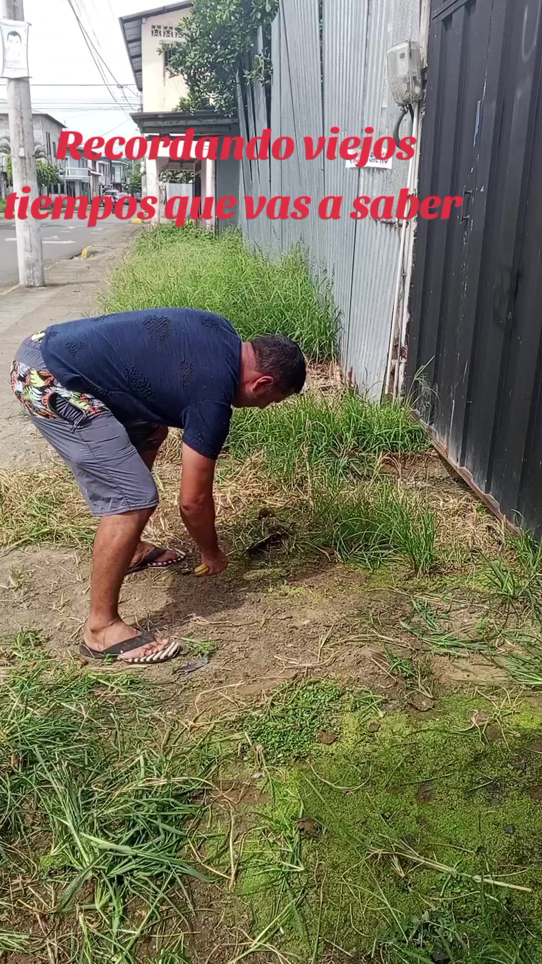 @Julio Cesar Párraga
