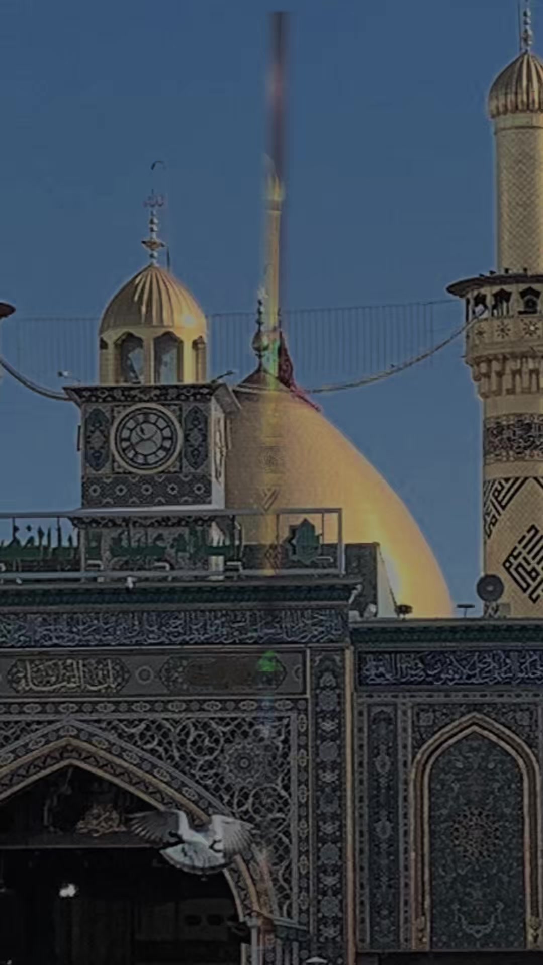 @Aliشhee✨