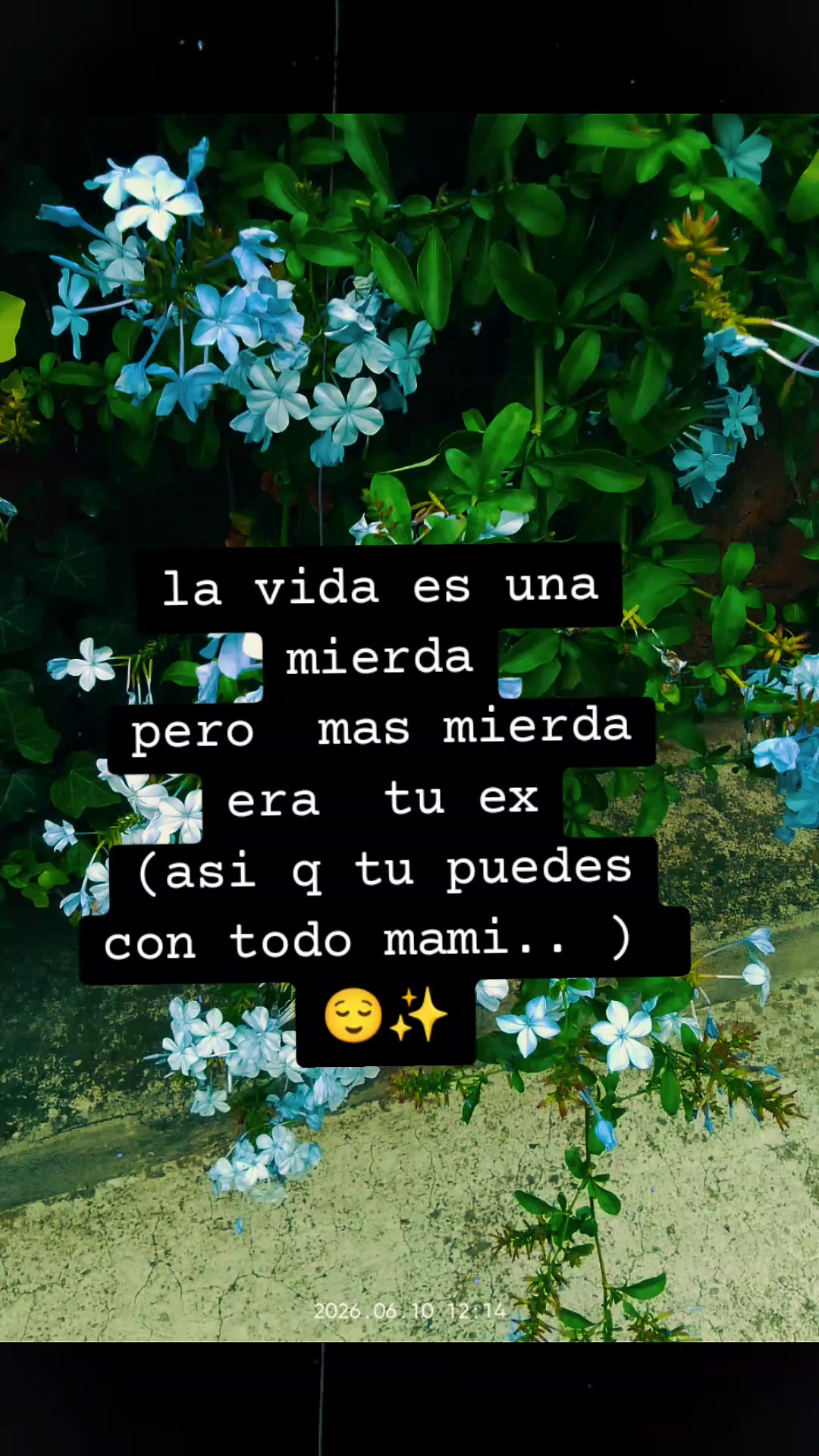 @paubonii