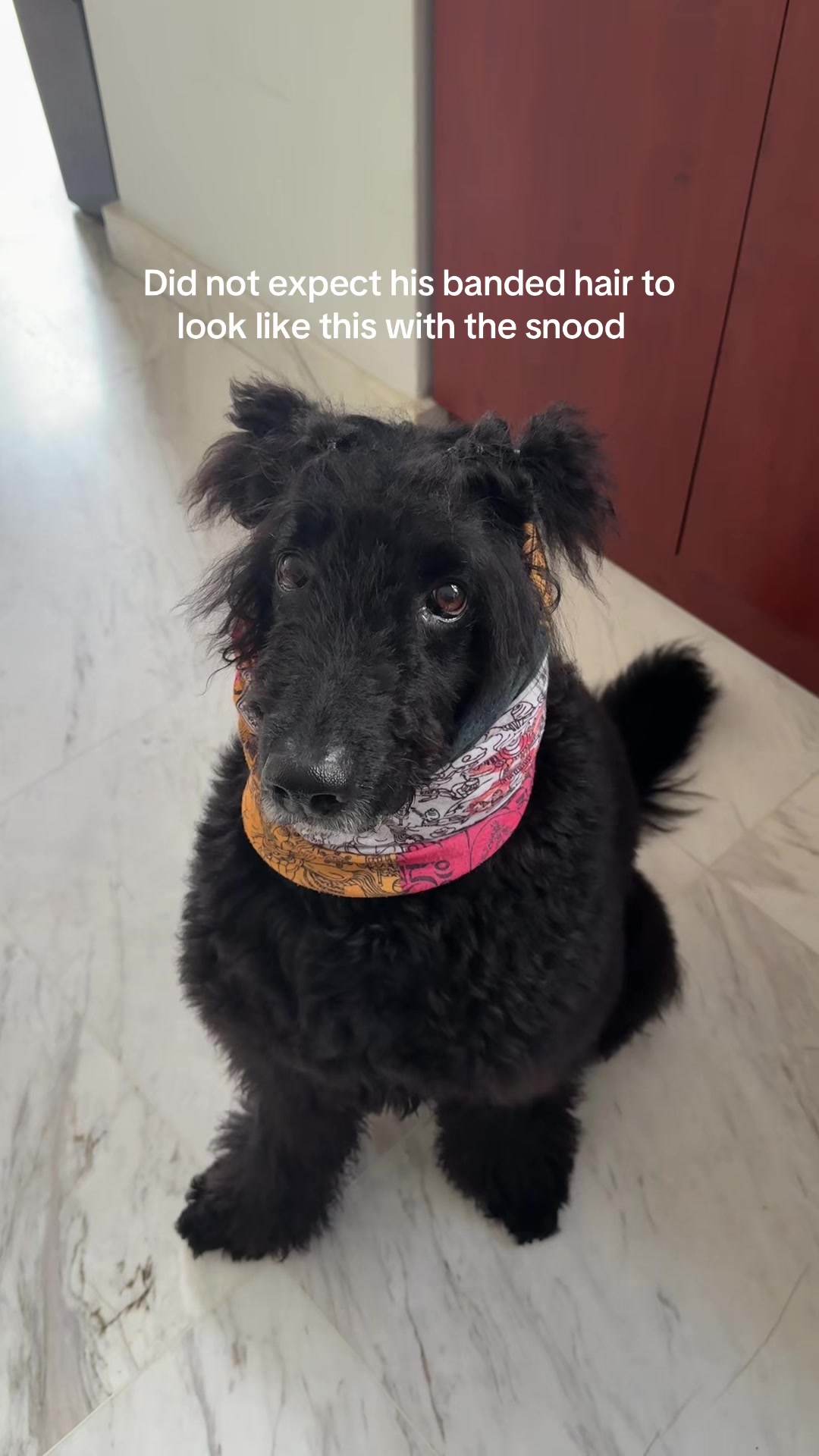 @Boobooraw