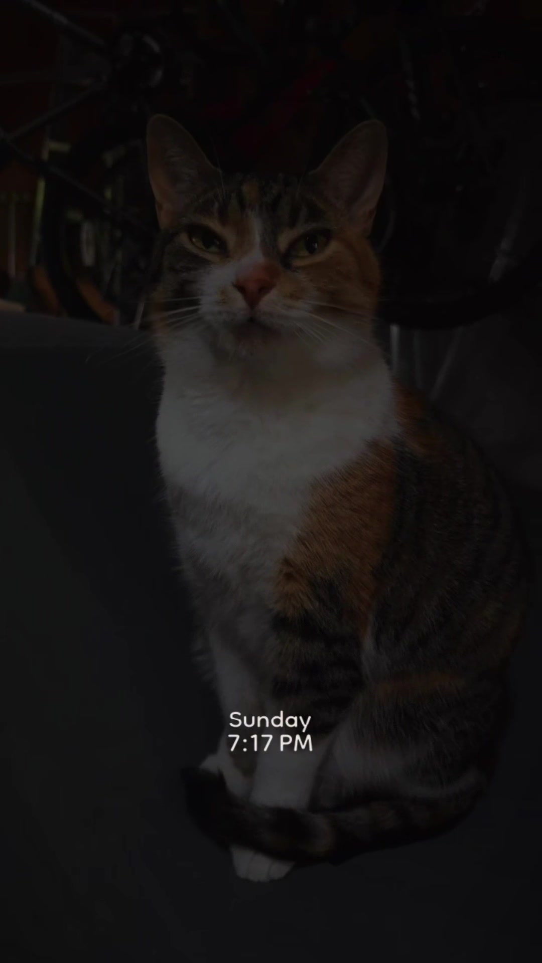 @๐๐๐ฏ๐ฏ๐ฎ๐ชญโจ