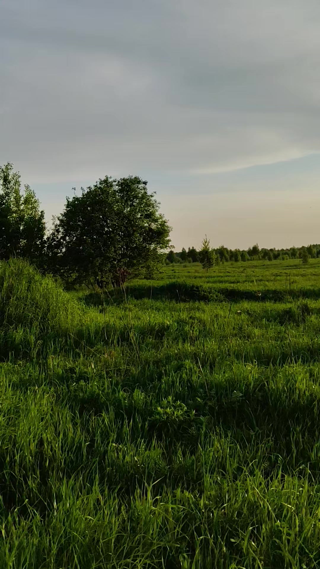 @лина