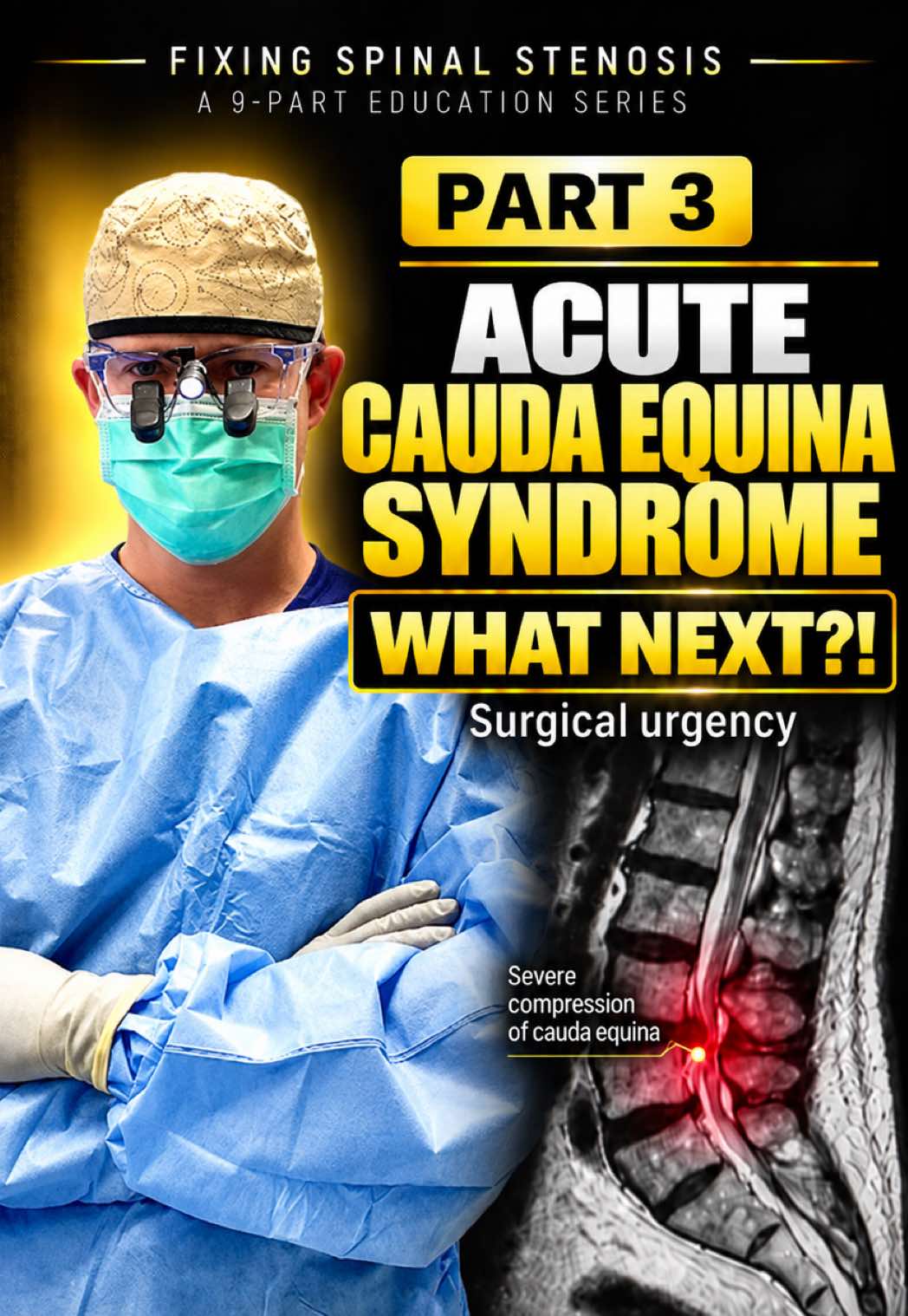 @Chester J Donnally III, MD