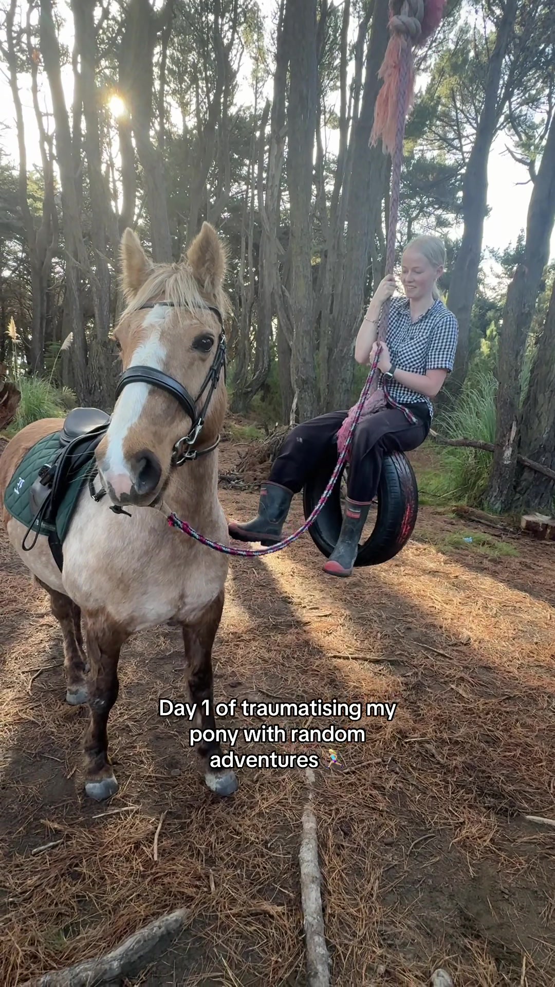 @Savanah_equestrian