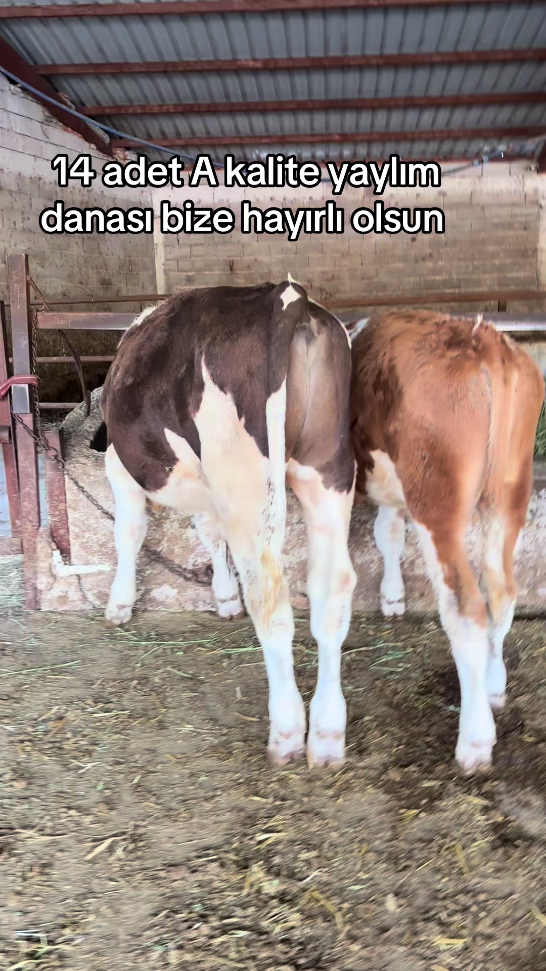 @GAZİ AKPINAR