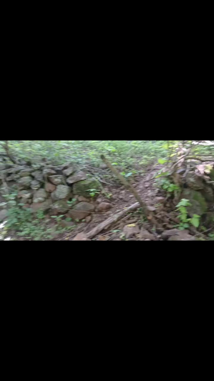 @PinoHernándezoficial
