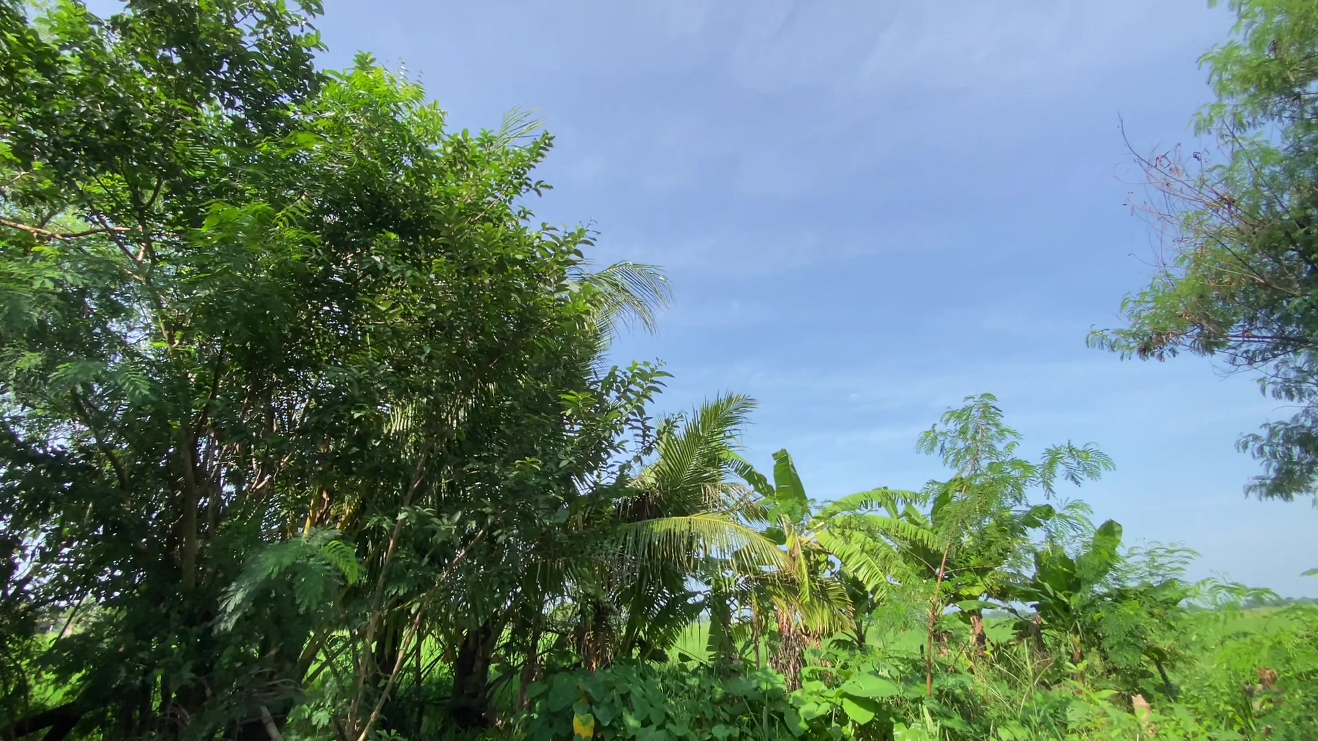 @sunlitsanctuary