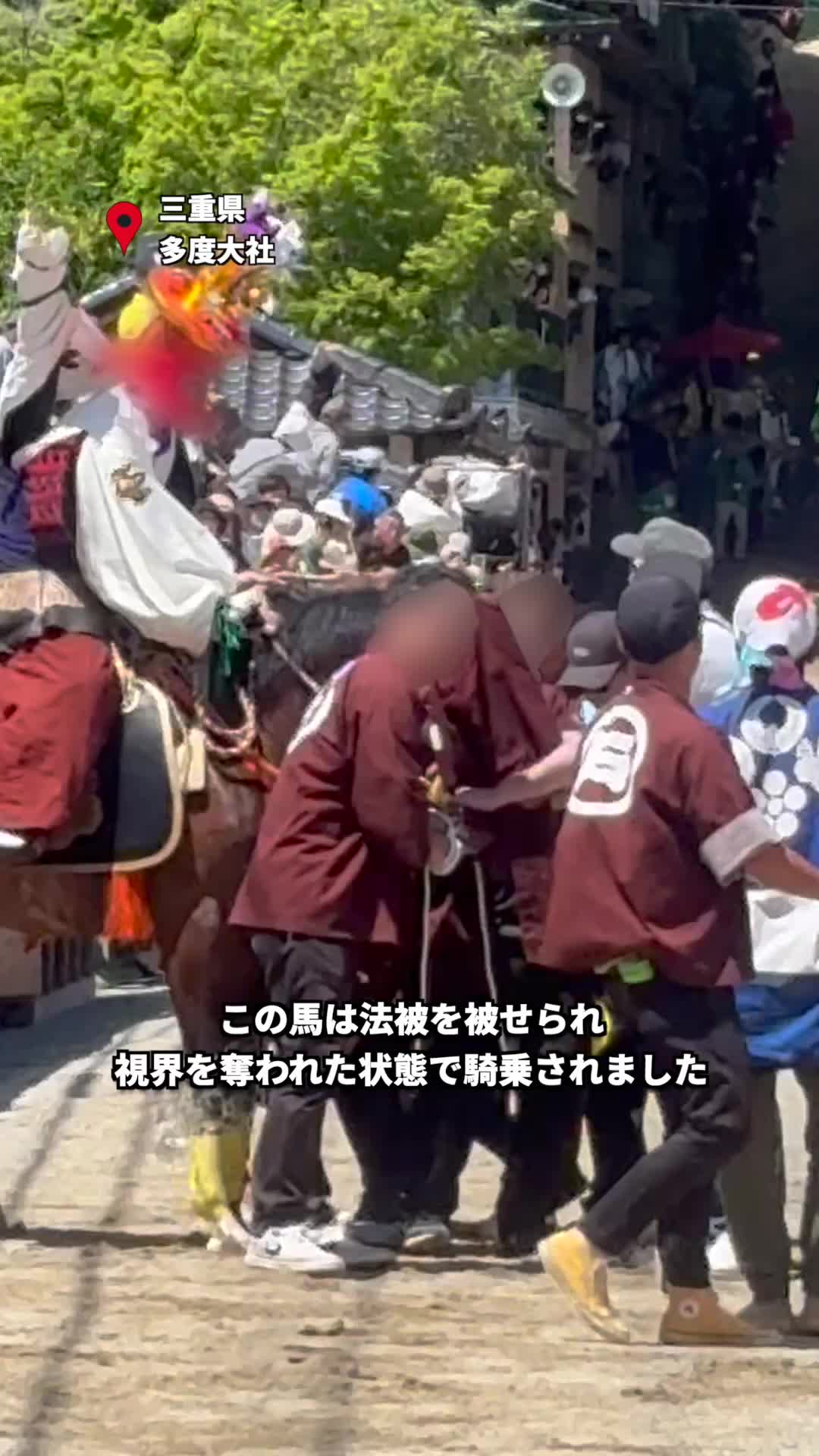 @PETAアジア 動物の倫理的扱いを求める人々の会 JAPAN