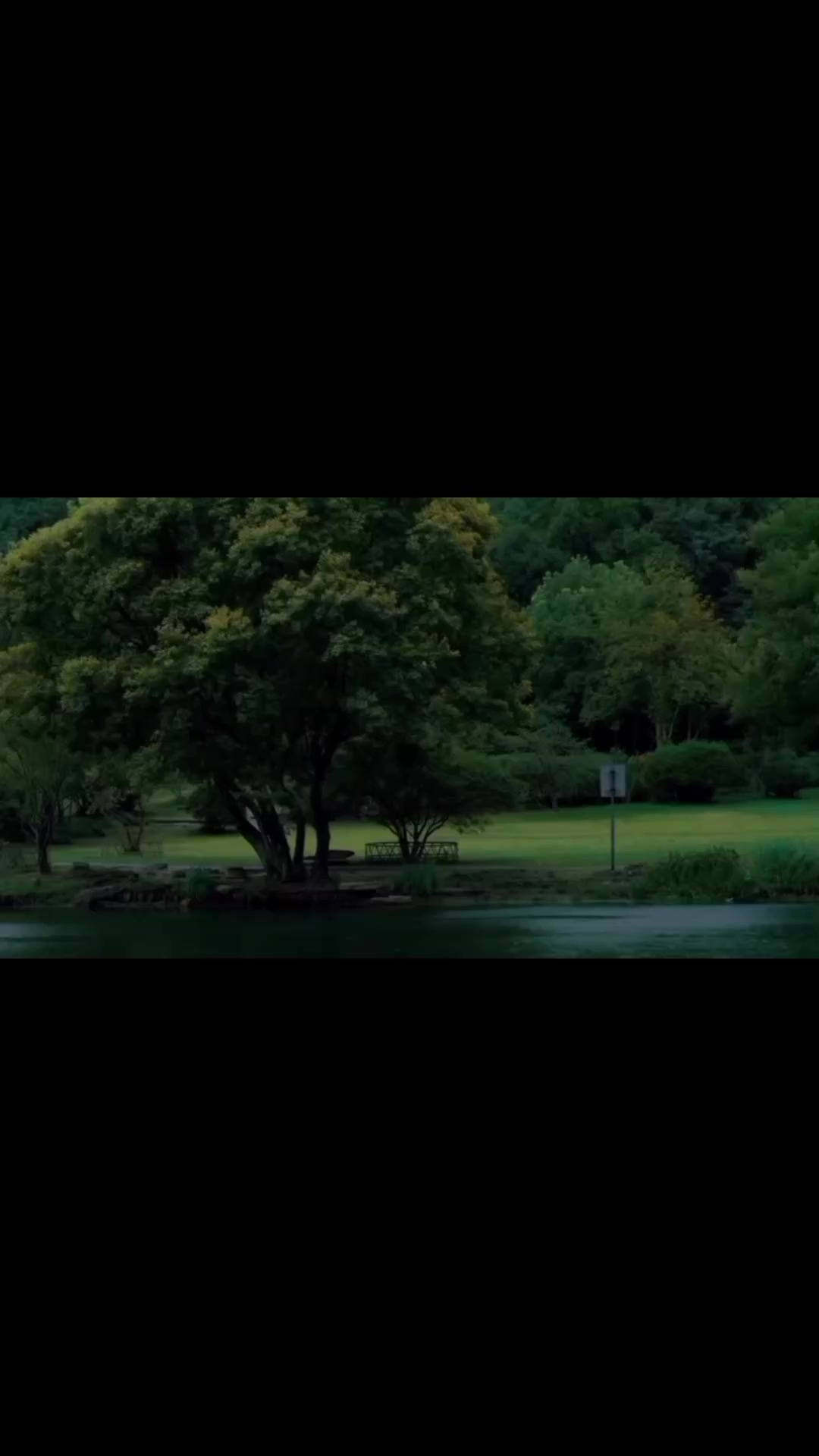 @صندوق الطفولة🎧🎬