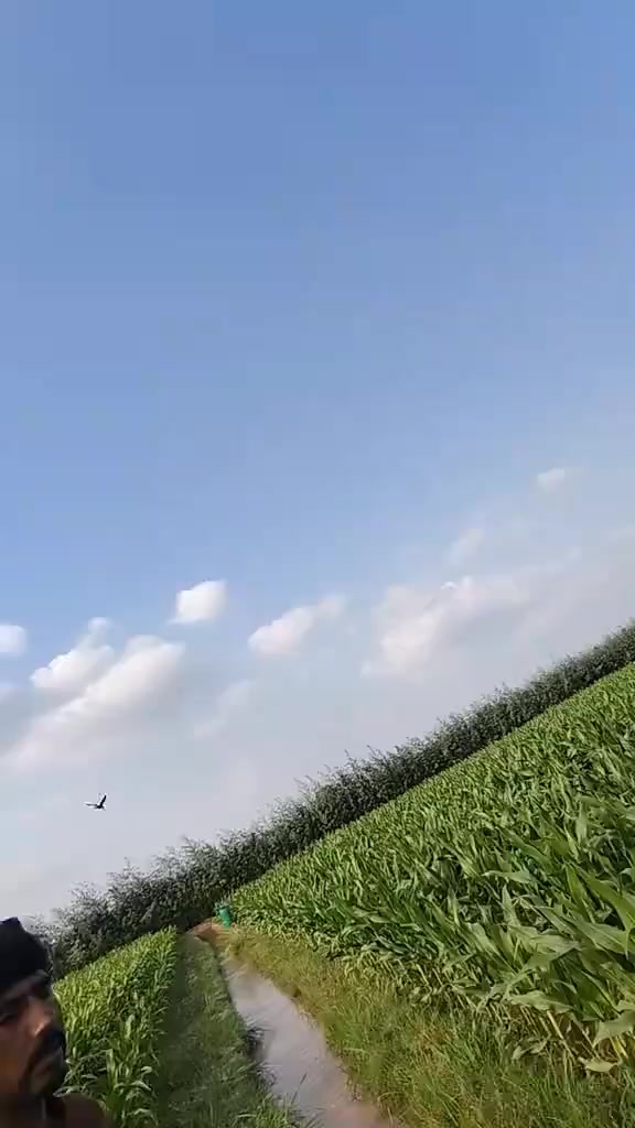 @Mähãr Wâqås Ñöûl