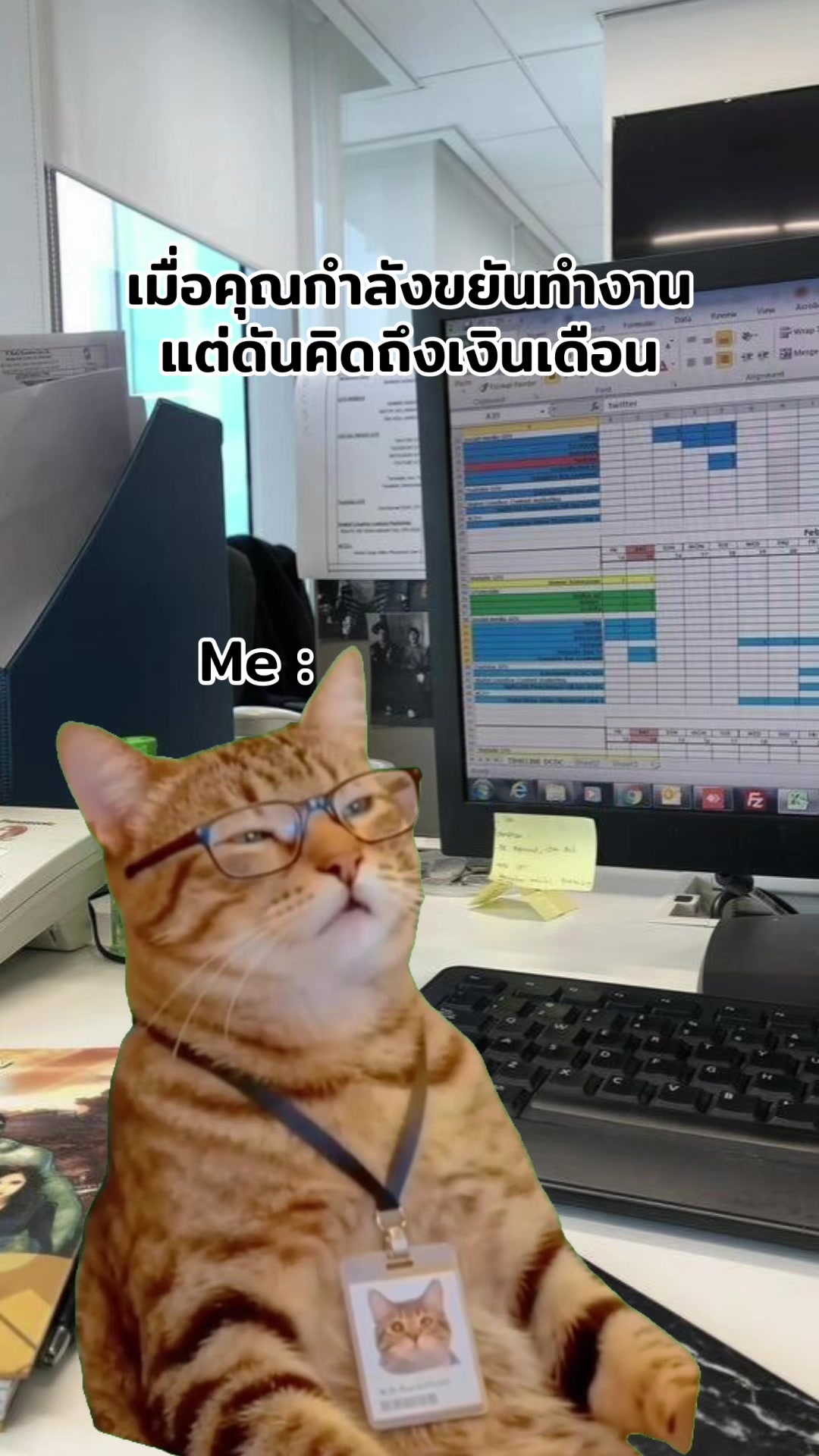 @ฮิปโปตด