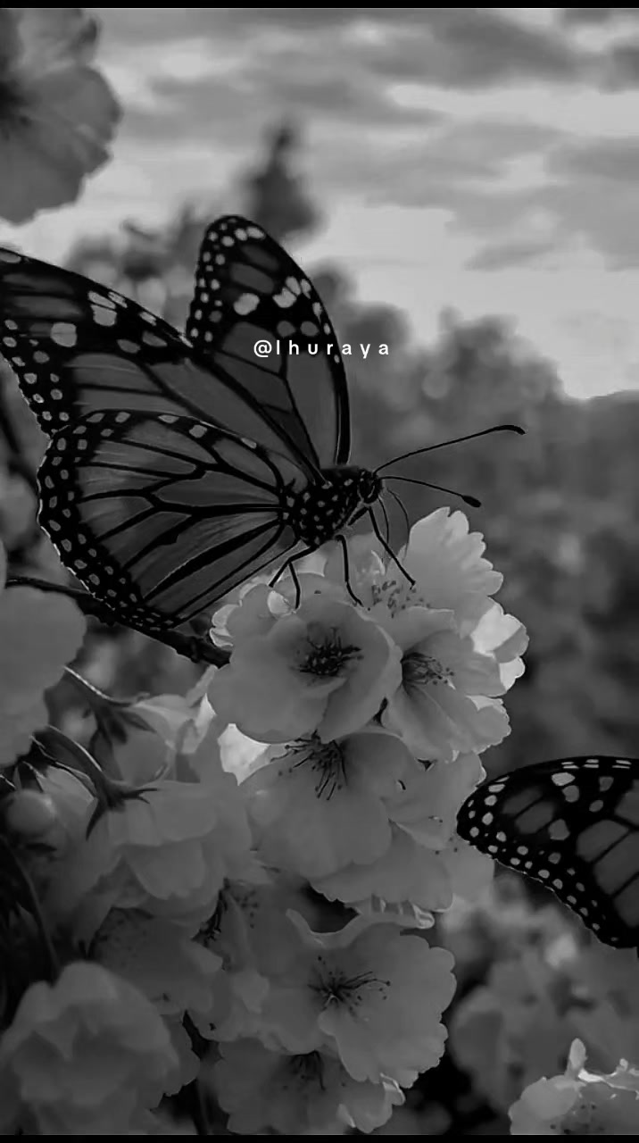 @الثــريا ✨