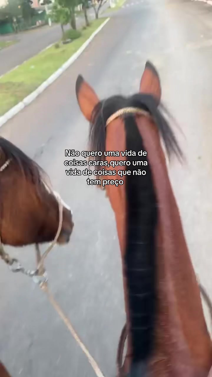 @Fiúza