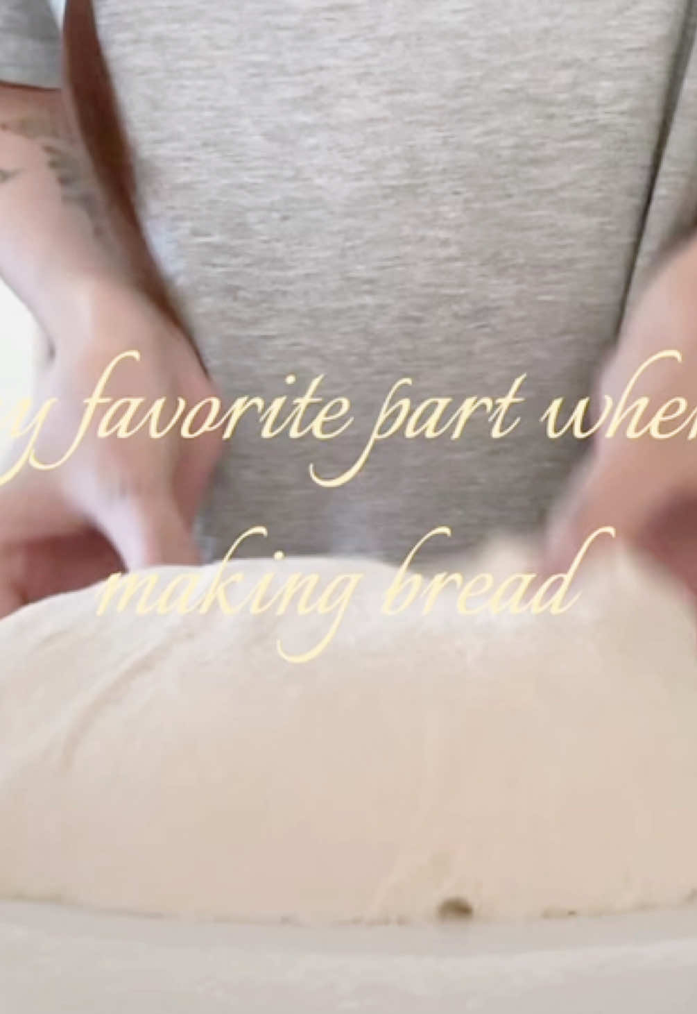 @porcelain 🧸