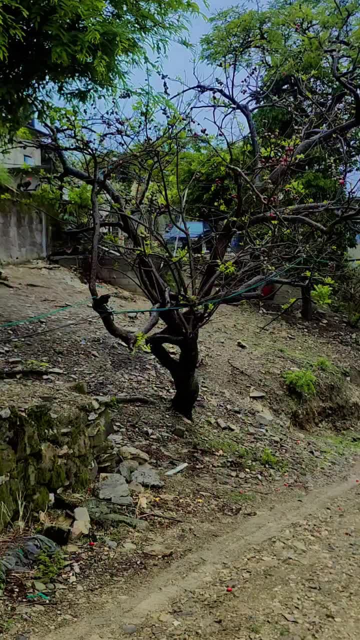 @Pedro salvador