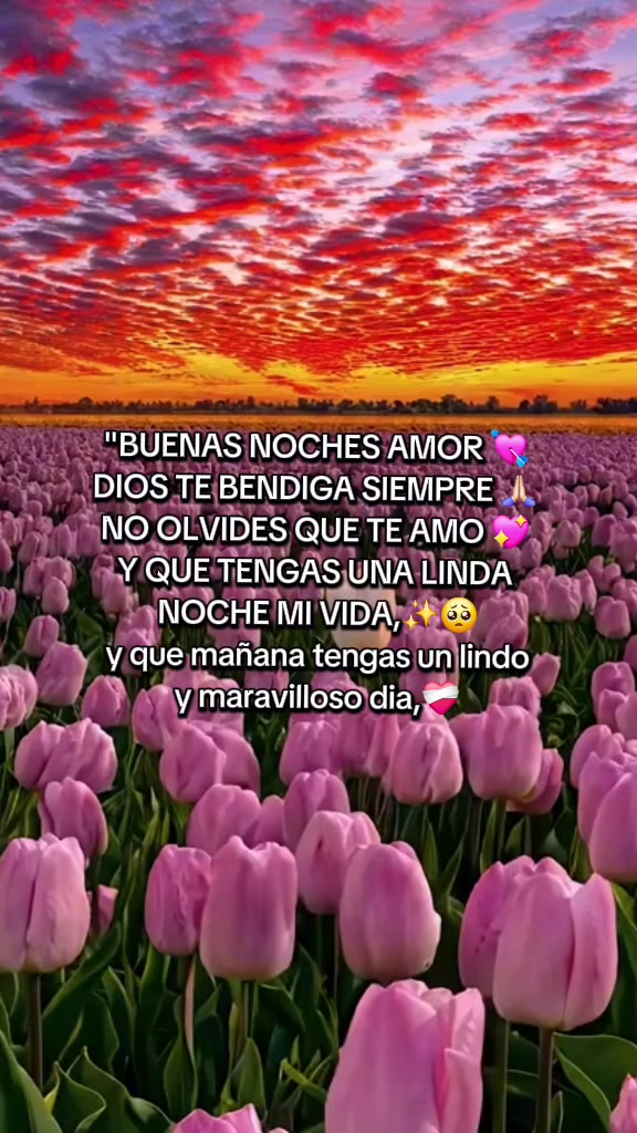 @🐣❤️🅰.PARA DEDICAR..💘E❤️