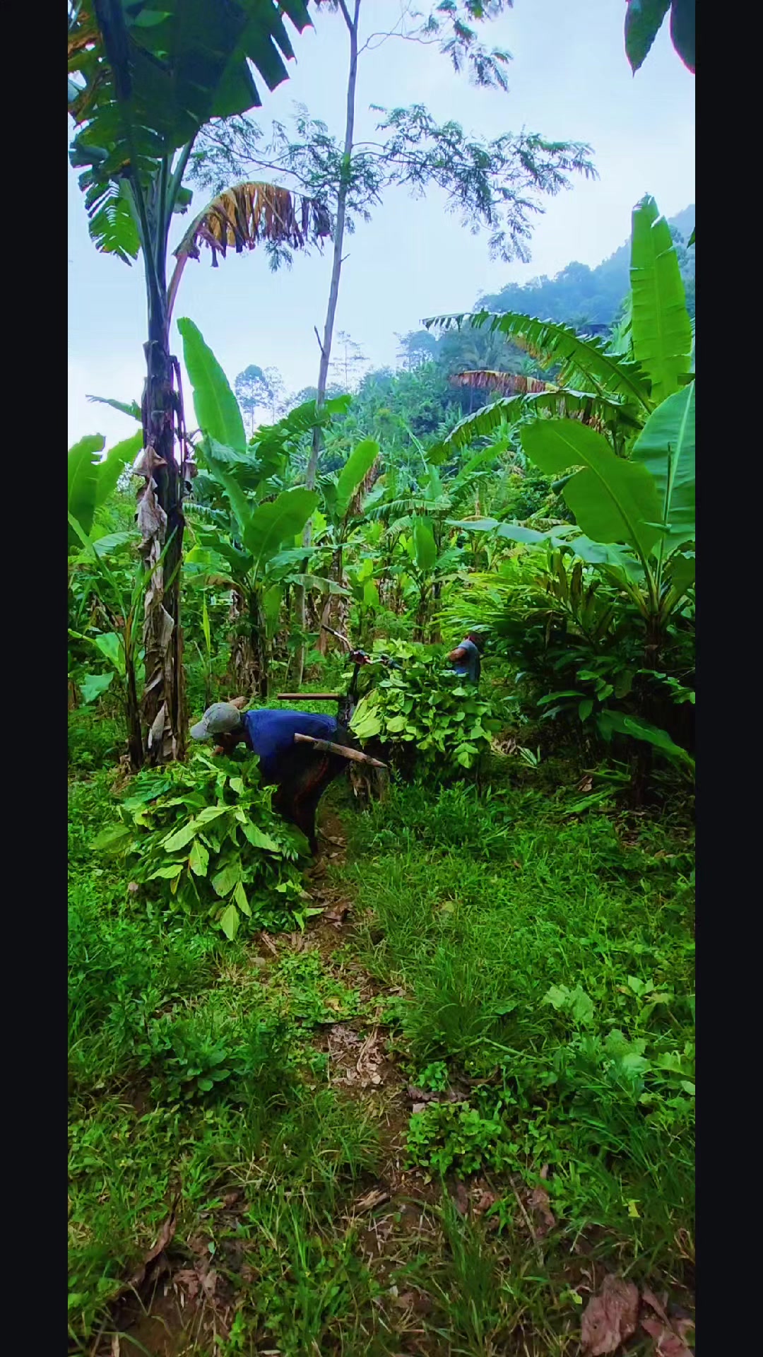 @sriarum
