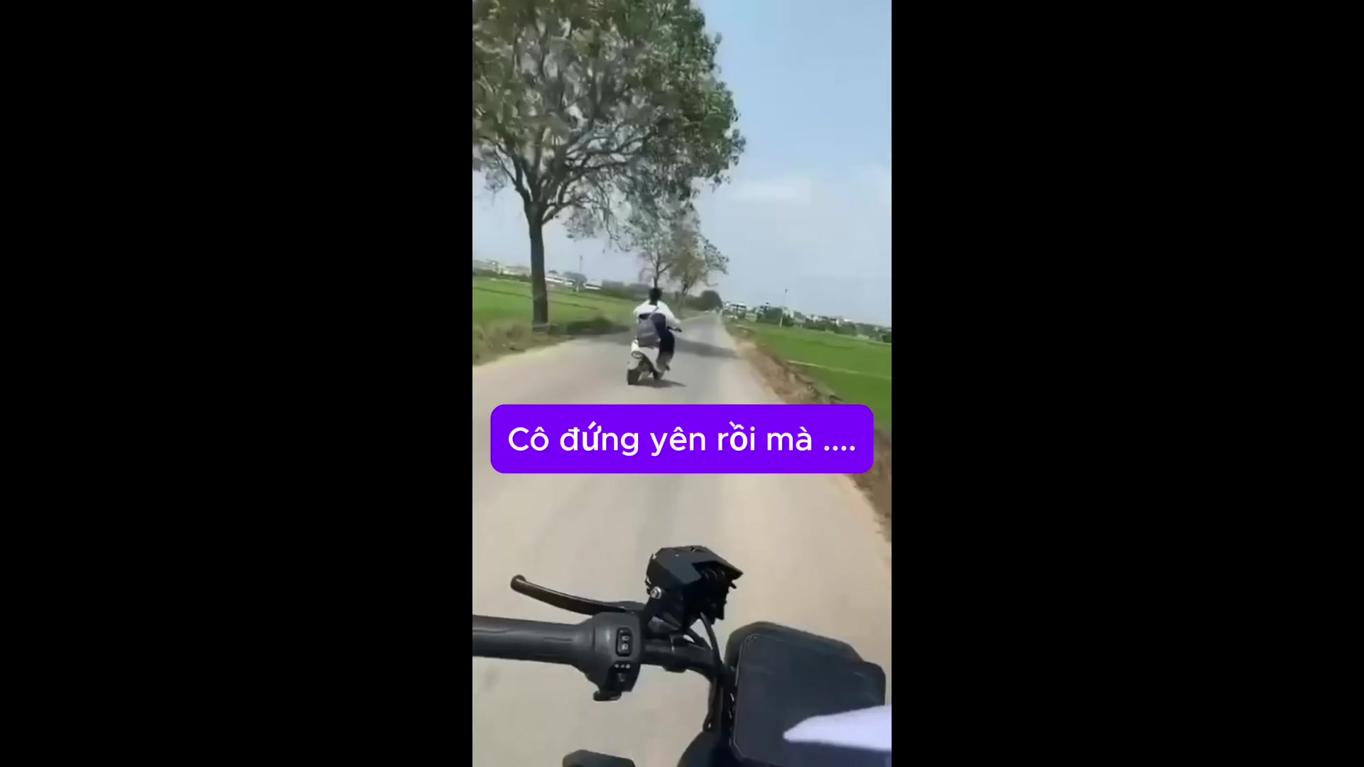 @Váy bầu mẹ Còi
