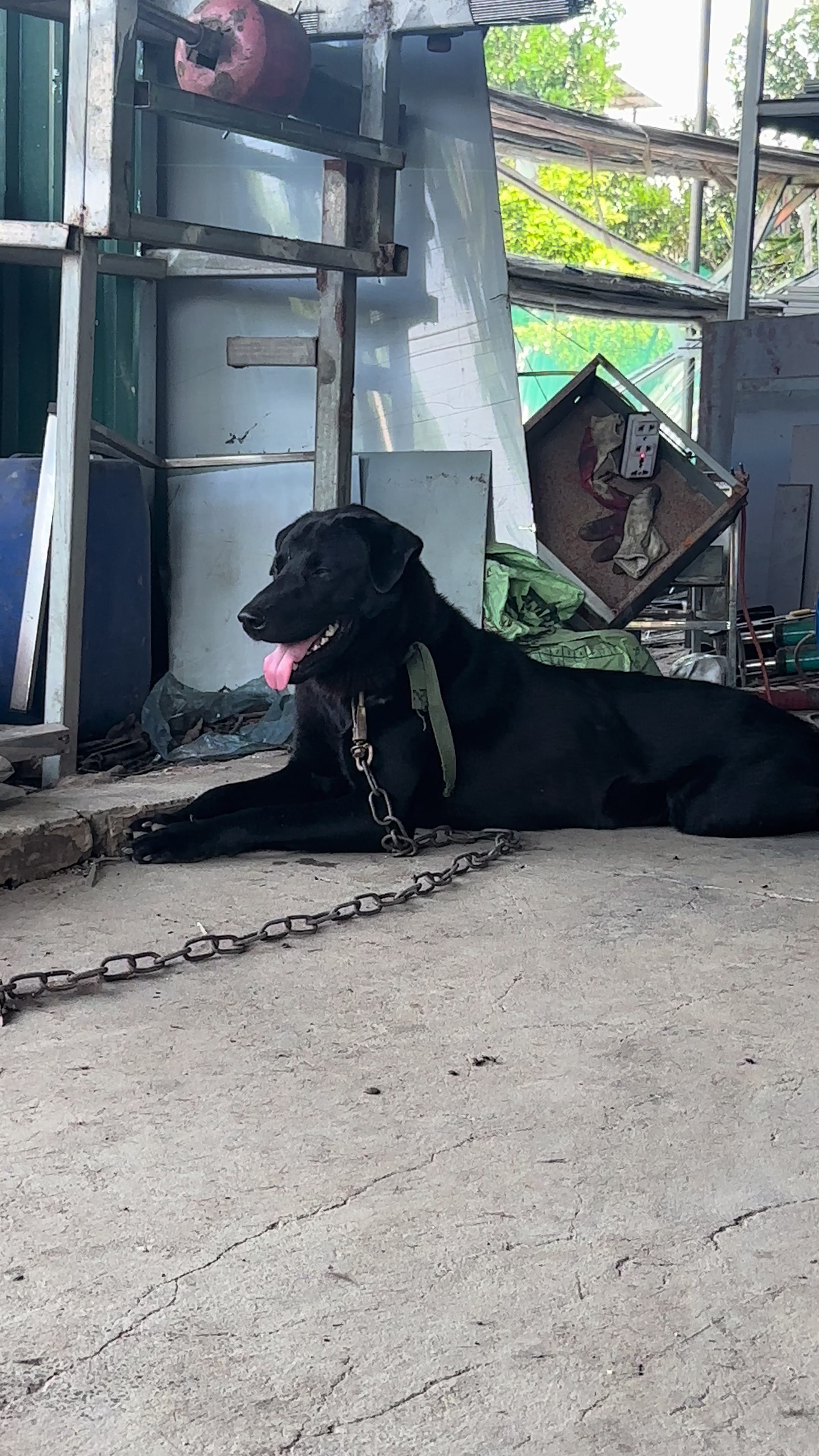 @Khi N&agrave;o Trắng Th&igrave; Đổi T&ecirc;n(Đen)