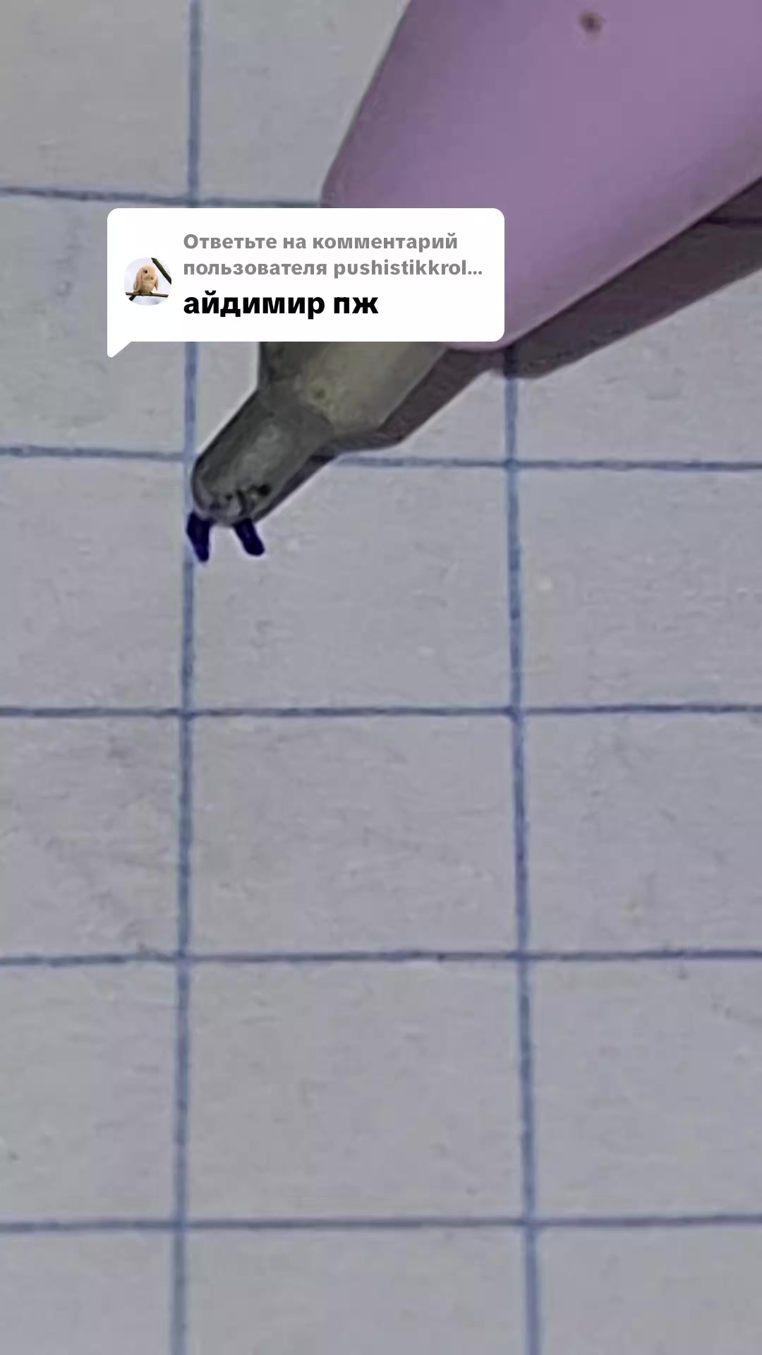 @введите никнейм
