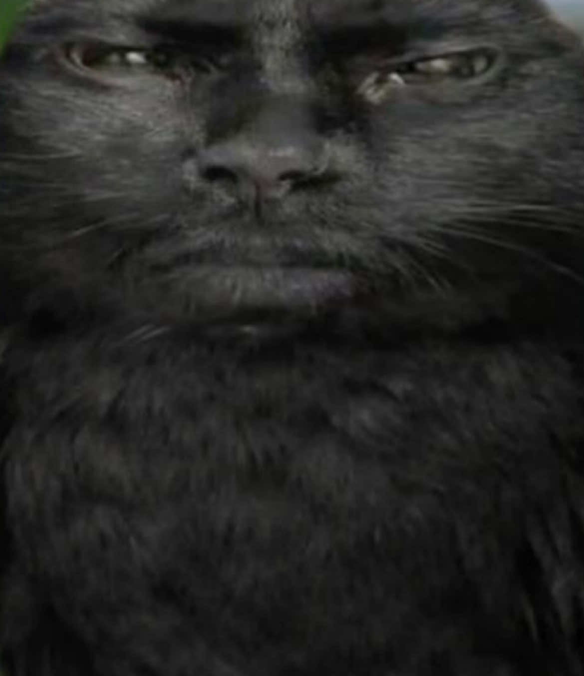 @𝐑𝐄𝐃 𝐇𝐎𝐎𝐃