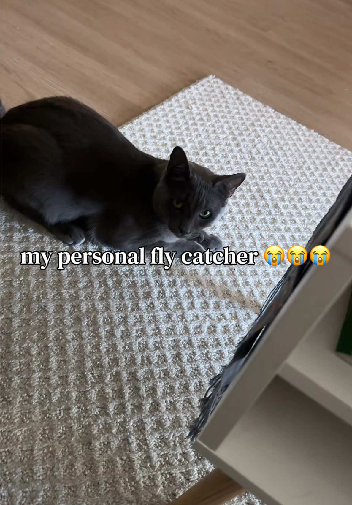 @earth2dechu