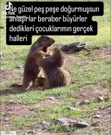 @Guney