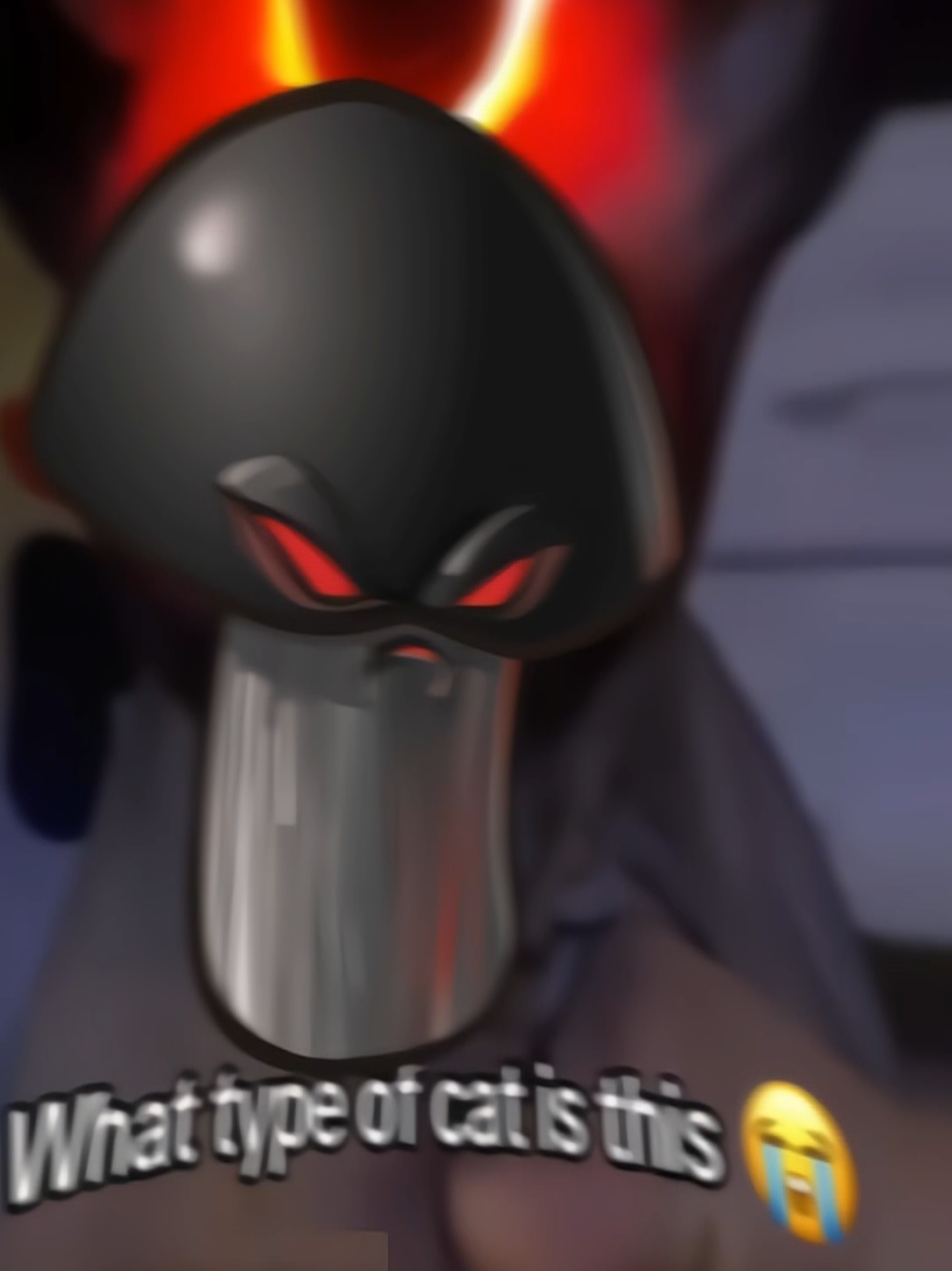 @PvZFan