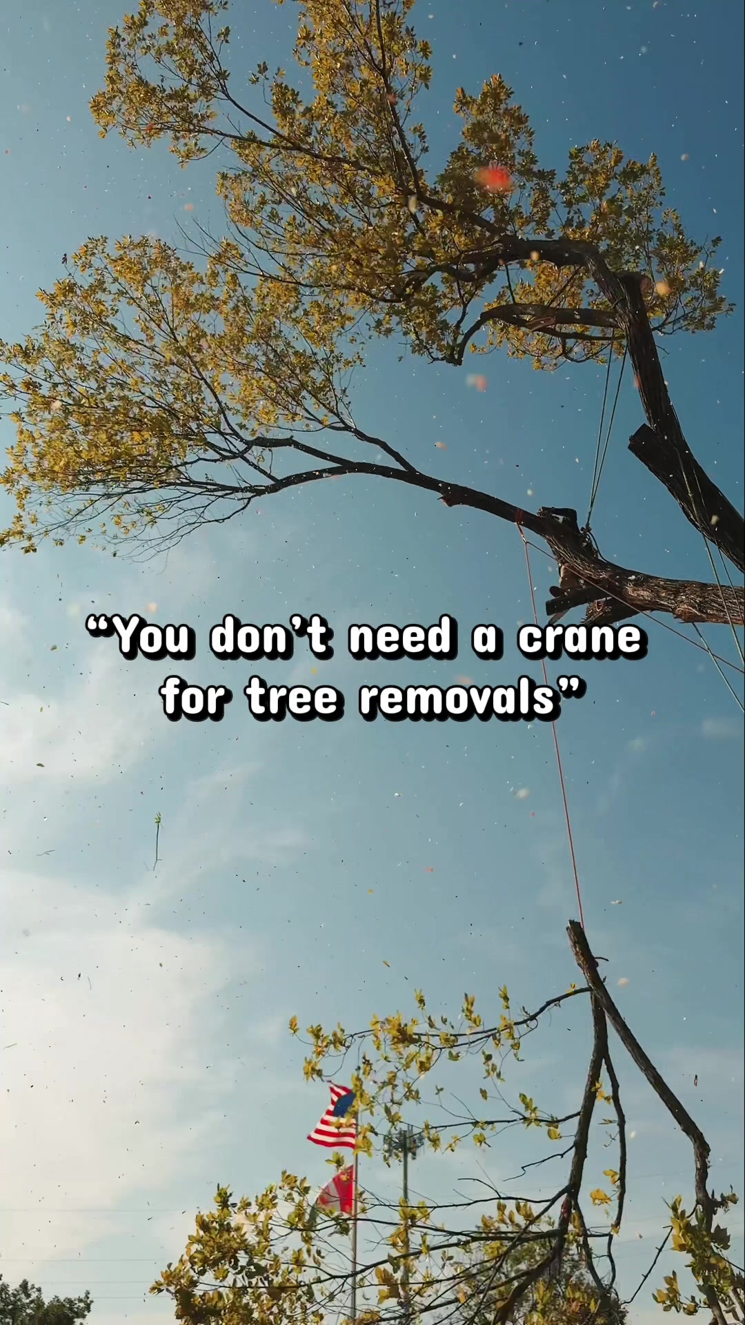 @SPTreeService