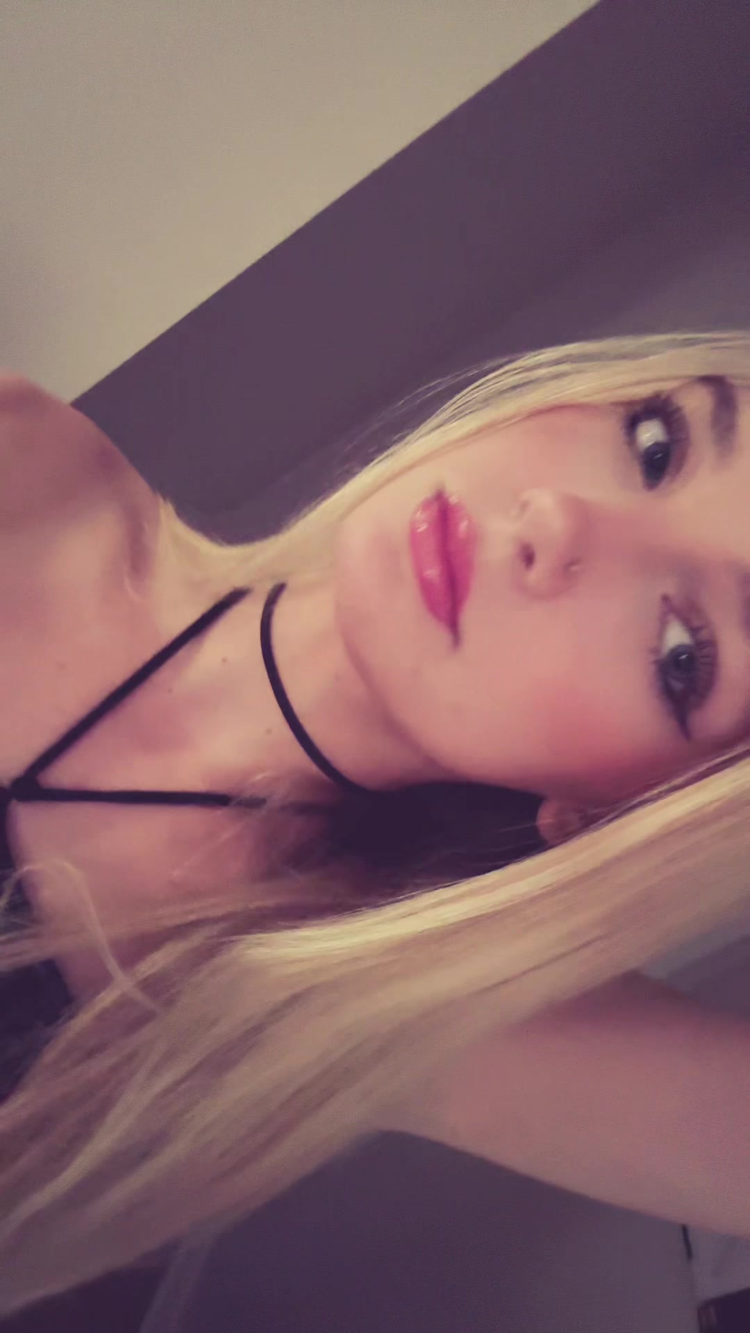 @stellontheweb6769