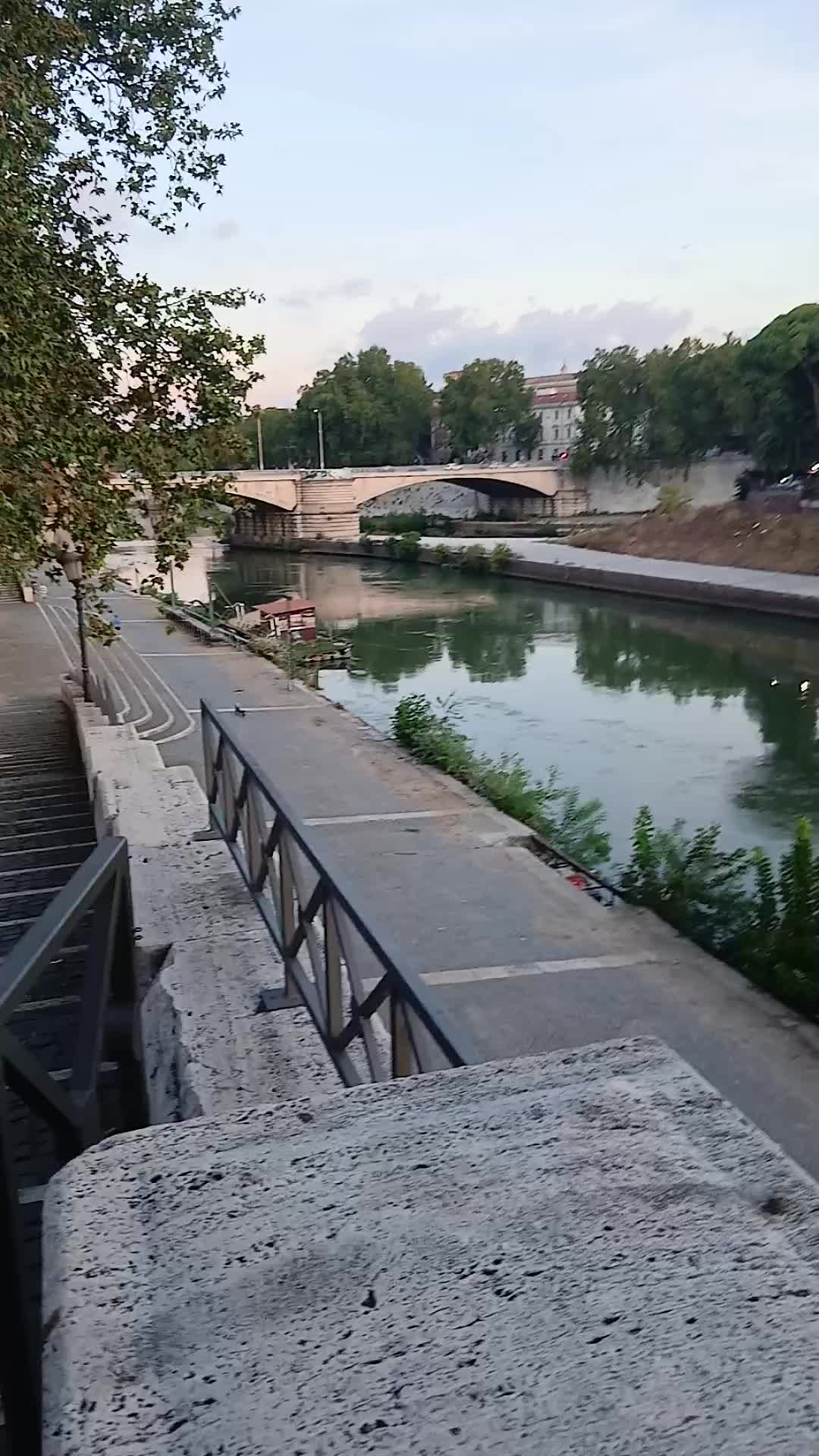 @alceo d'onofrio