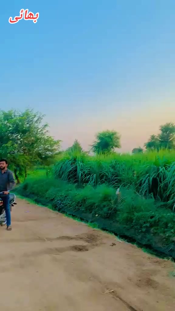 @شکیل جٹ 17الا