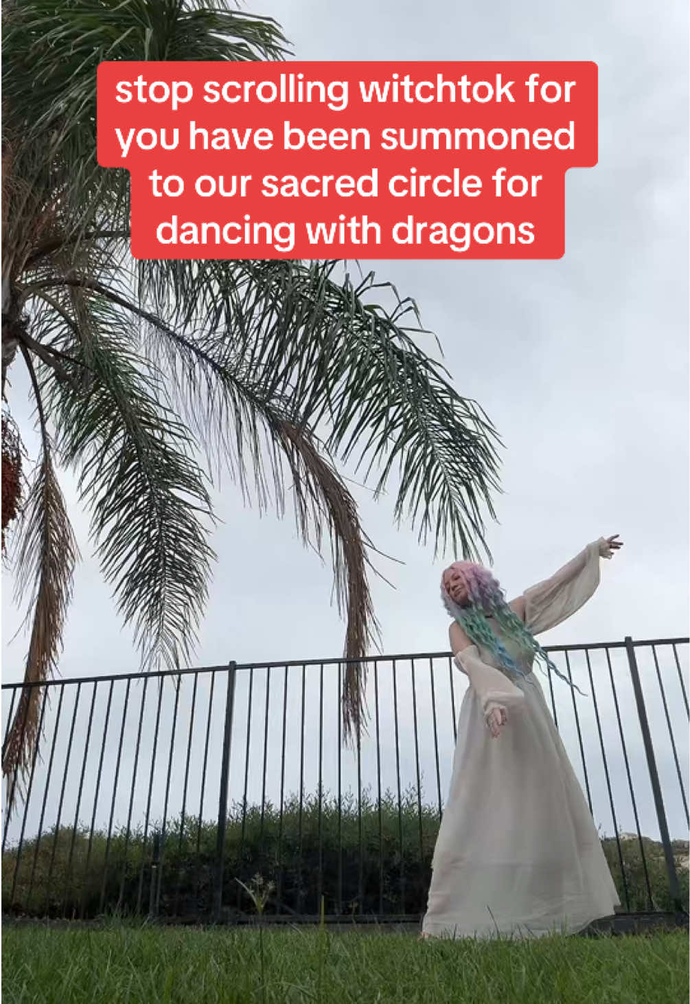 @The Draconic Priestess 🐉