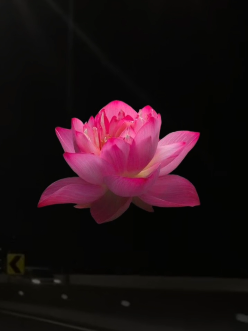 @𝐗𝐕𝐈 𝐀.𝐂