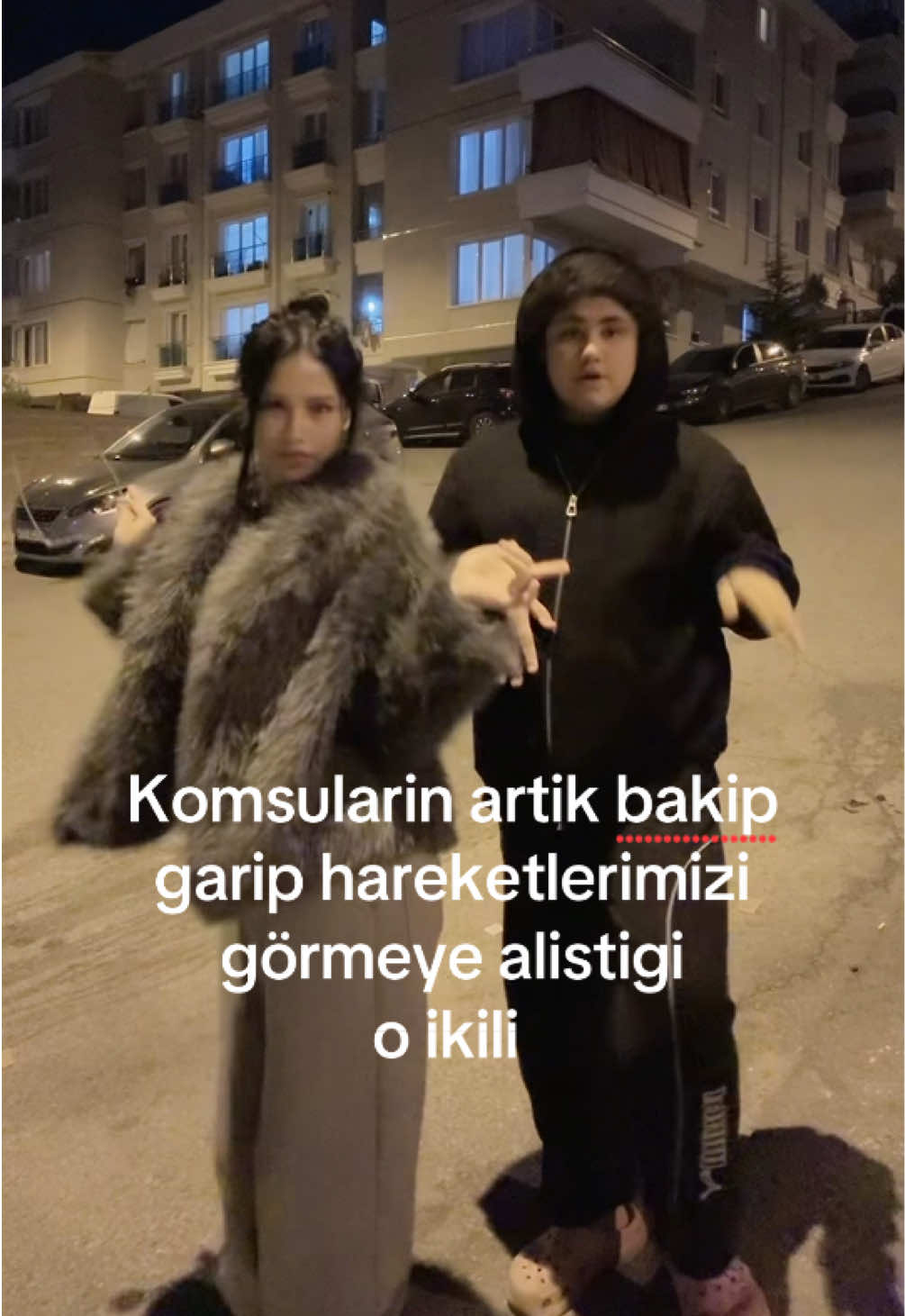 @arya 🐈⬛