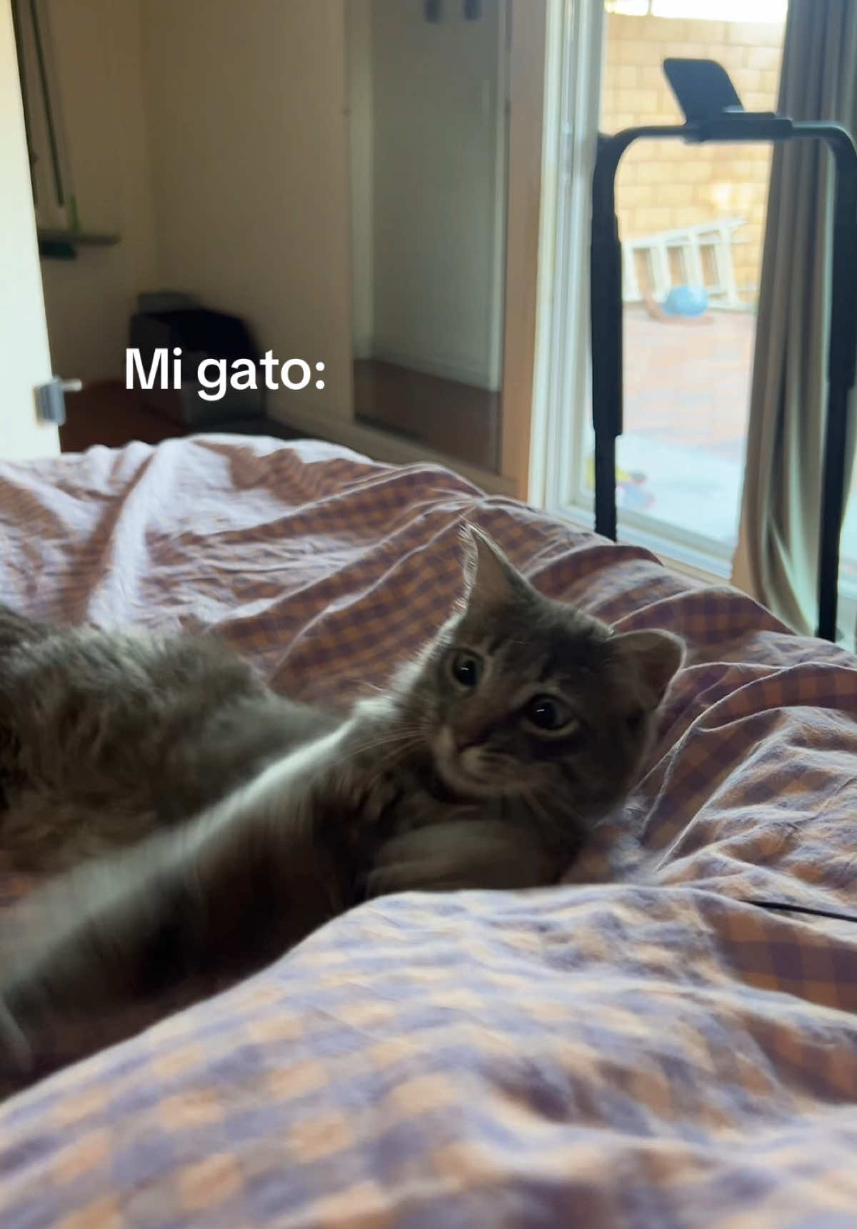 @Sofia 🇸🇻🦜