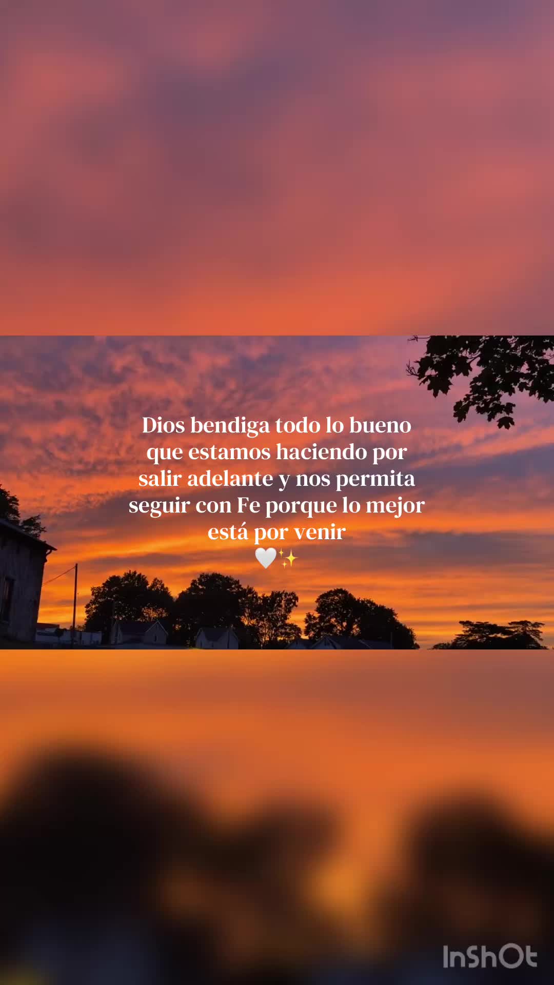 @🤍✨.