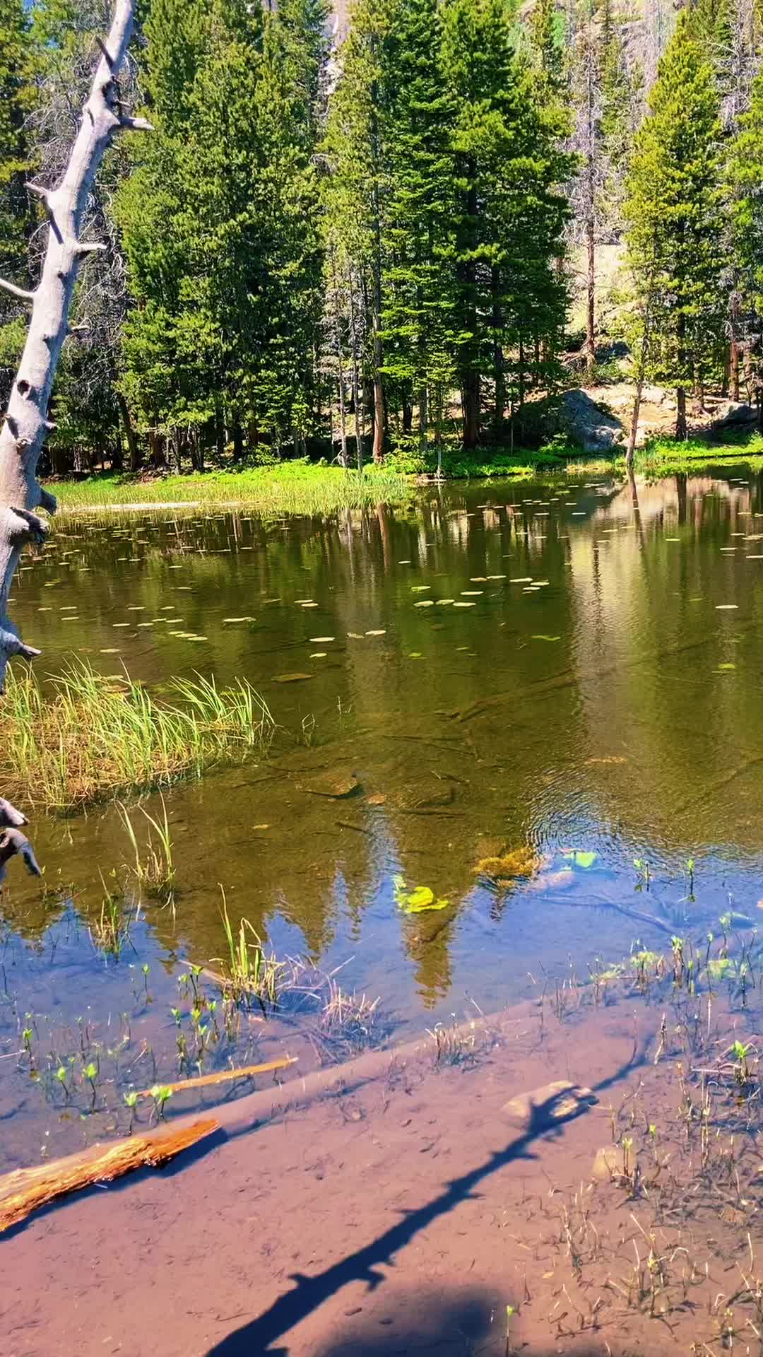 @HikeMike