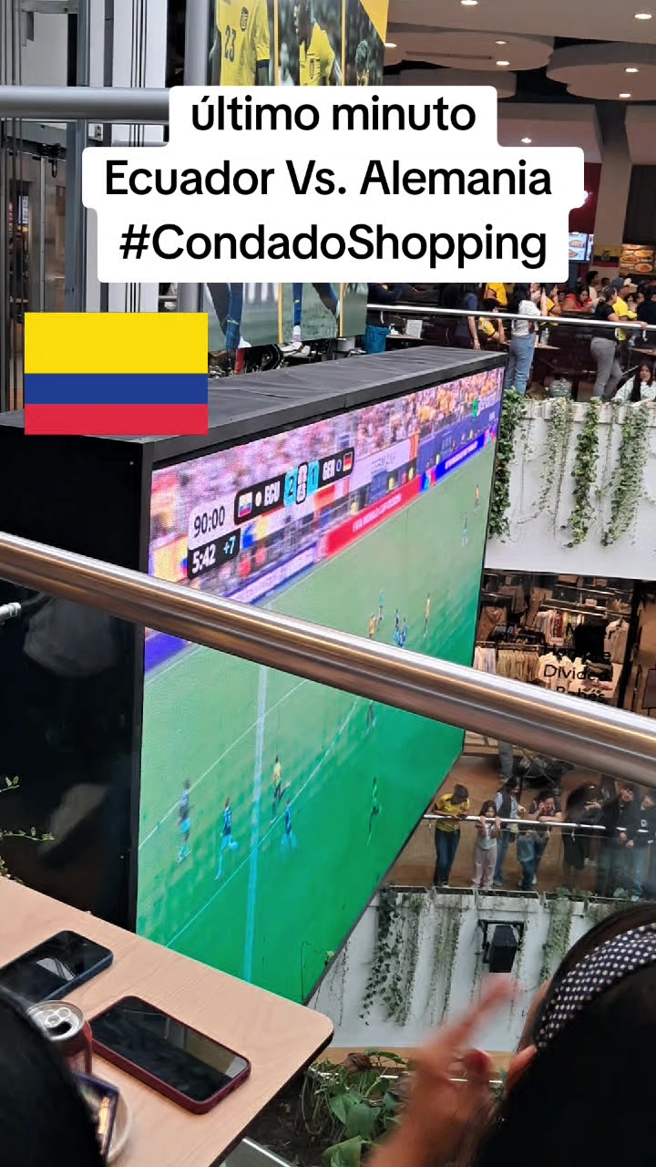 @Verónica Puebla R
