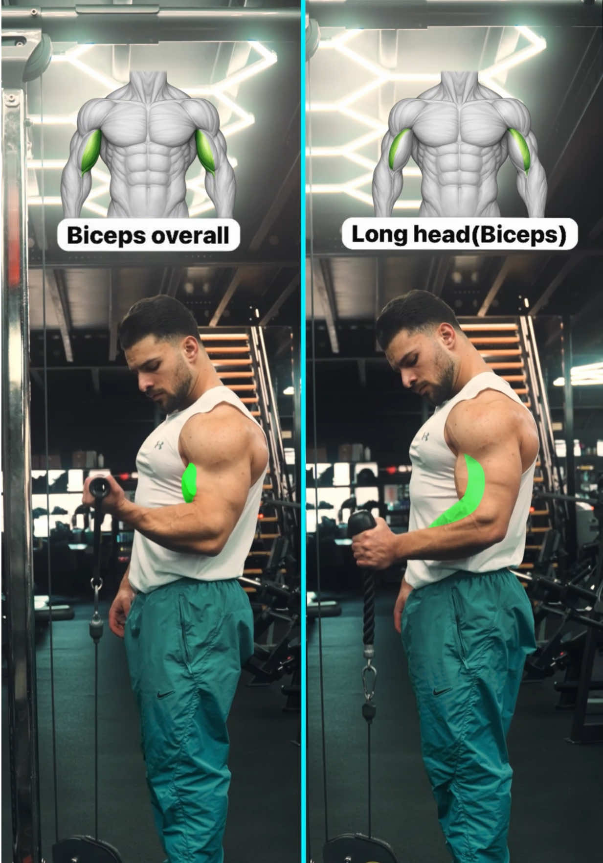 @IFBB PRO ABDO