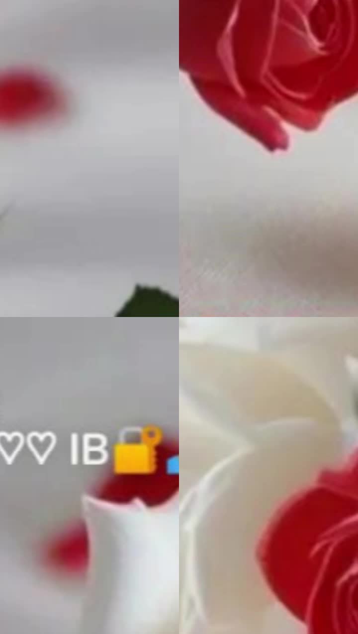 @Bibin Bibi
