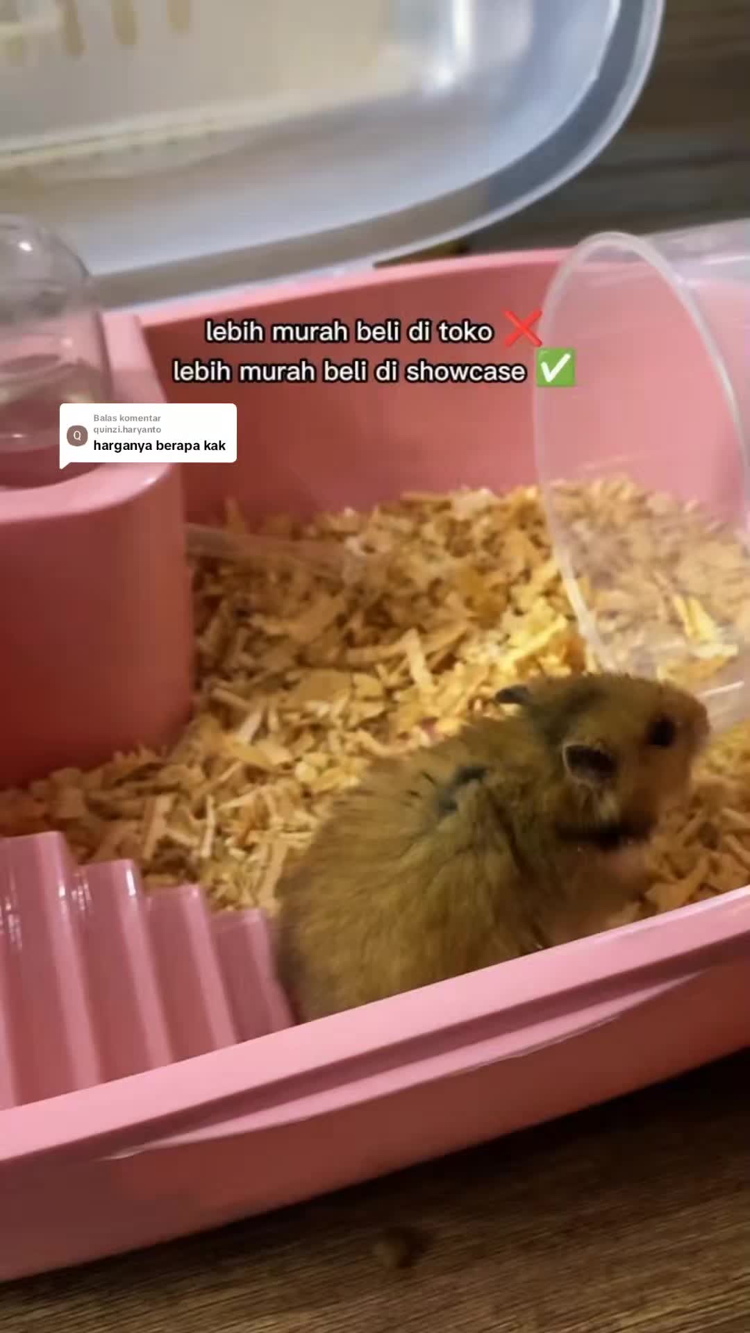 @TamaGo Pet
