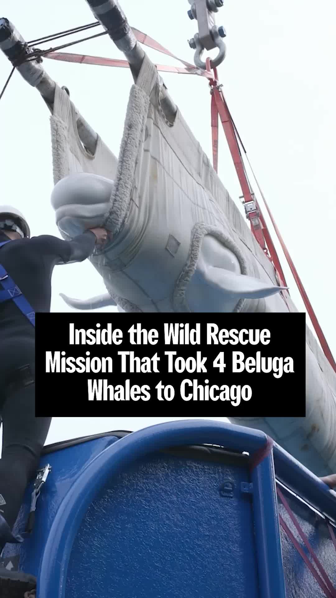 @WIRED.COM